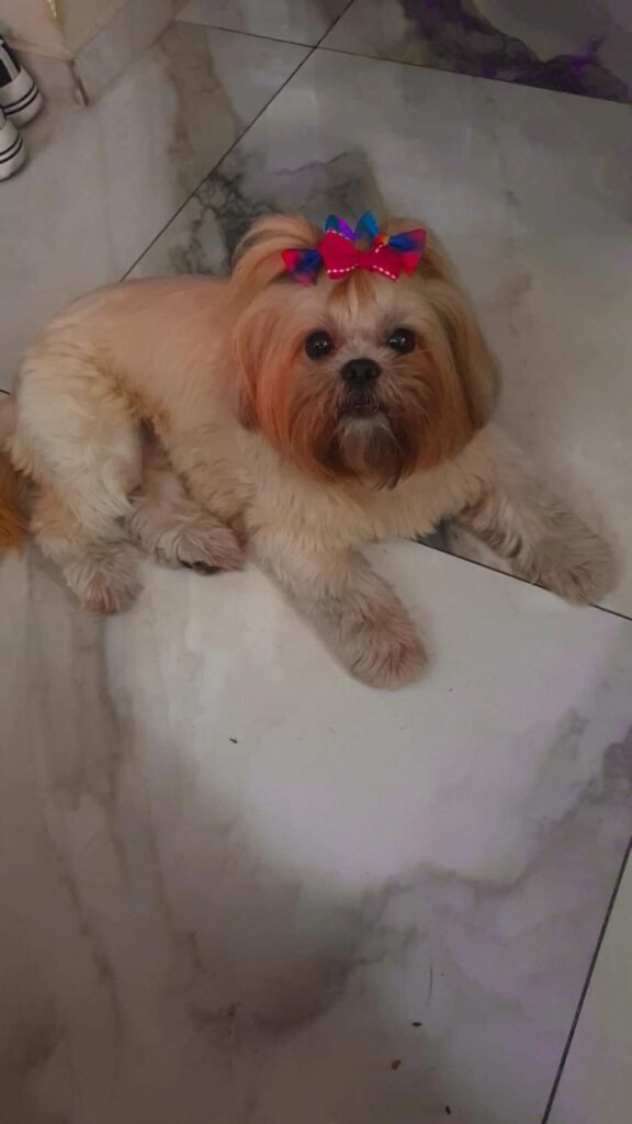 Stella radiante e cheia de energia, vivendo a liberdade de estar protegida.