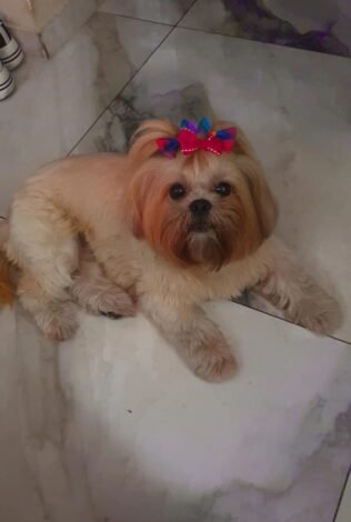 Stella radiante e cheia de energia, vivendo a liberdade de estar protegida.